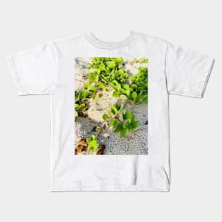 Beach Grass, Oman Kids T-Shirt